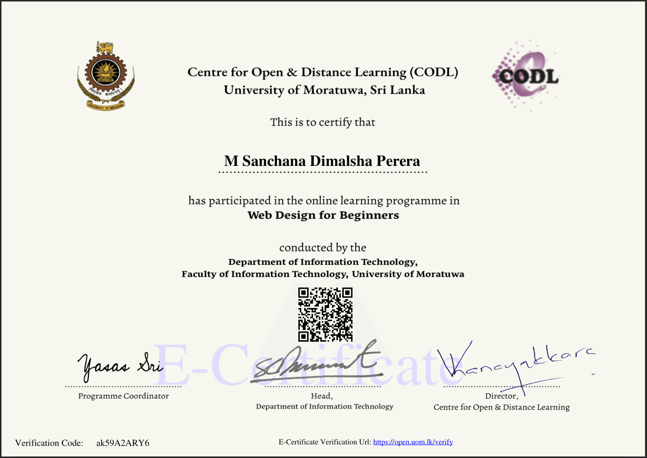 Web Design for Beginners